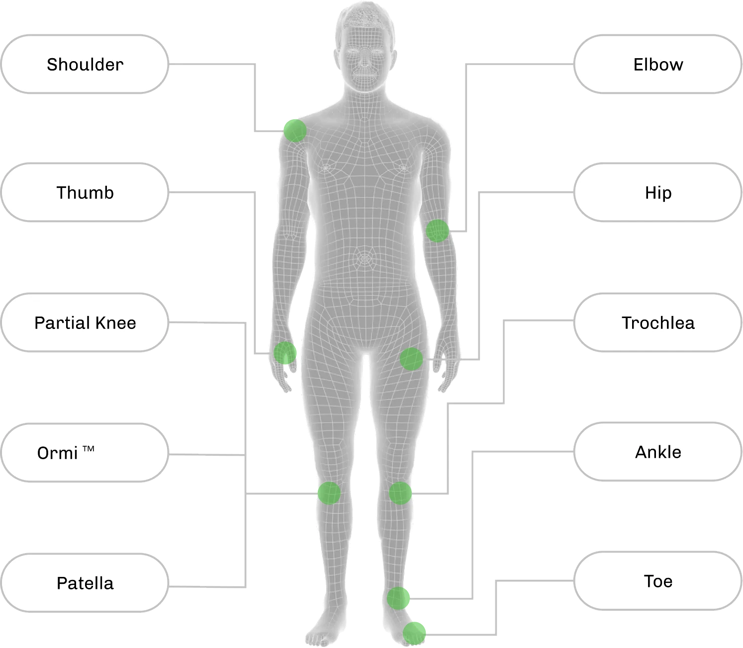 A front-facing 3D wireframe diagram of a human body, highlighting specific joints with green circular markers connected to white text labels.